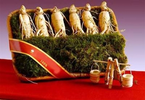 Sâm Tươi Hàn Quốc